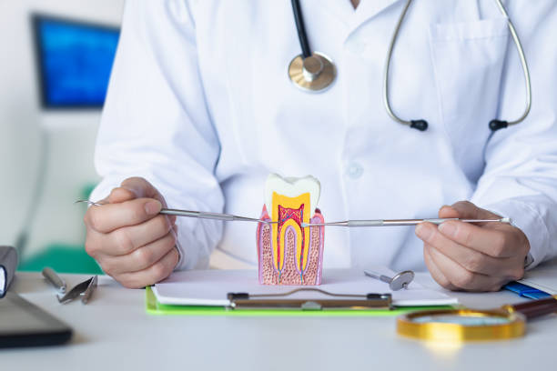 Best Emergency Tooth Extraction in Faith, NC